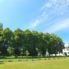 Im Reimlinger Klostergarten möchte die Immobilienfirma Weik Mehrfamilienhäuser bauen. 