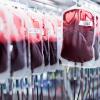 Blutkonserven werden in einem Labor aufbereitet.