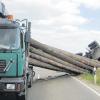 Baumstämme fallen auf ein Auto