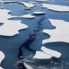 Wissenschaftler sind sich einig, dass die Arktis in den nächsten 30 bis 50 Jahren eisfrei sein wird. Die Erderwärmung hat jedoch auch in Deutschland Konsequenzen.