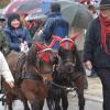 Farbenfroh und festlich geschmückt waren die Pferde beim Leonhardiritt in Unterliezheim. Die Teilnehmer und Zuschauer ließen sich trotz des anhaltenden Regens die gute Laune nicht nehmen. 