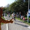 Bei bestem Wetter starteten am Sonntag viele kleine und große Läufer beim Meringer Marktlauf des TVM.