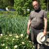 Die zartgelbe „Clair de Lune“ ist eine von knapp 70 Sorten Pfingstrosen, die Dieter Gaißmayer in seiner Staudengärtnerei in Illertissen vorrätig hat. Die bunten Schönheiten haben jetzt Saison im Garten – und können jahrzehntelang am selben Standort erblühen. 	 	