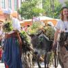 Gänse, Ochsen, bepackte Esel: Beim Einzug der Bauern und Handwerker auf das Frundsbergfest gab es viel zu sehen.