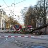 Der Sturm hat am Königsplatz am Sonntagnachmittag einen großen Baum auf die Straßenbahngleise Richtung Theodor-Heuss-Platz geworfen.