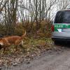 Nach dem Fund einer Leiche wurden auch Polizeihunde bei der Suchaktion nahe der B16 bei Günzburg eingesetzt.