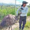 Luis Coyaquillo bei der Arbeit an seinem Lebenstraum, einem Paradies für Tiere und Pflanzen auf einem Hügel in Ecuador.