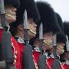 Die britische Armee wird nicht auf Pelz verzichten. Die Palastwache am Buckingham Palace trägt weiterhin ihr traditionelles Bärenfell auf dem Kopf.