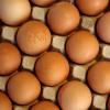 Unbekannte haben Eier gegen eine Fassade in Aichach geworfen.