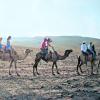 Auch in die Wüste drangen die Meringer Fußballmädchen in Israel vor - als Kamelreiterinnen. Fotos: Günter Wurm