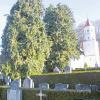 Die Baumreihe vor der Mariä-Geburt-Kirche im Altenstadter Friedhof soll einer Neugestaltung weichen.  