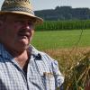 Kreisobmann Martin Schorer vom Bayerischen Bauernverband ist mit der bisherigen Ernte voll und ganz zufrieden. Auch der Weizen lässt nach seinen Worten sehr gute Erträge erwarten. 