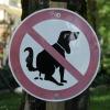 In Aystetten (Landkreis Augsburg) beschweren sich viele Menschen über  Gehwege, die mit Hundekot verschmutzt sind. 