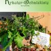 Viel Kräuterwissen gibt es in dem Buch „Meine Kräuter-Schatzkiste kurz & bündig“ von Sophie Bösel.