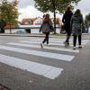 Viertklässler der Altenstadter Grundschule wünschen sich in der Friedhofstraße einen Zebrastreifen. Ihr Antrag wird dem Gemeinderat vorgelegt.  	