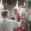 Die Bundespolizei überprüft in Betrieben der Fleischindustrie die illegale Einschleusung von Arbeitskräften.