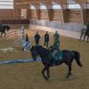 So werden die Pferde der Münchner Reiterstaffel trainiert. Sie werden dabei gezielt akustischen und optischen Reizen ausgesetzt.