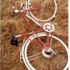 Mit diesem Fahrrad befand sich Simone Langer in der Nacht auf 29. Juli 1983 auf dem Nachhauseweg.