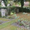 Auf dem Friedhof in Bellenberg sind zwischen den Grabreihen viele aufgelassene Stätten zu beobachten. Nun sollen zusammenhängende Flächen für Gemeinschaftsgrabanlagen mit Urnenbestattung genutzt werden.
