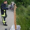 In Augsburg hat die Feuerwehr eine zwei Meter lange Boa eingefangen.