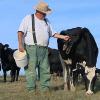 Einer Kuh von Landwirt Paul Springer wächst ein fünftes Bein aus dem Rücken. Damit schafften er und sein Tier es beim NDR ins Fernsehen.