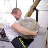 Kraftsport Fitness Strongman Der Hollenbacher Michael Reichelt gehört zu den stärkstemn Männern Deutschlands. Zusammen mit Matyn Mos trainiert er in Schrobenhausen in einer kleinen Halle. Trainiert werden die Strongman von Andreas Hofberger.