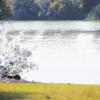 Zwei weibliche Personen haben am Buschelbergsee in Nersingen einen Mann im Gebüsch bemerkt.