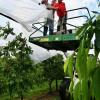 Auf der Obstplantage Zott wurden Stützbalken und die Folien beschädigt. Mitarbeiter reparieren die Schäden, wo es noch möglich ist.