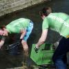 Nasse Füße holten sich die Mitglieder der Ortsgruppe von Greenpeace, als sie im Wasser des Stadtgrabens Müll herausfischten. 