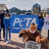 Eine Gruppe von Peta hat vor der Dehner-Zentrale in Rain demonstriert. Die Tierschutzorganisation will die Bedingungen für Heimtierzucht verbessern und erreichen, dass der Handel mit Kleintieren in Geschäften verboten wird.
