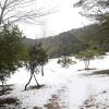 Auf Mallorca hat es in den vergangenen Tagen geschneit.