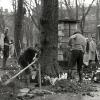 März 1939: Die Bäume an der Fuggerstraße werden gefällt.