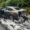 Eine glitschige Ladung Schleimaale hat einen Highway-Abschnitt im US-Westküstenstaat zeitweise unbefahrbar gemacht.