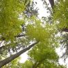 Der Wald ist Naturraum, Wasserschutz-, Rückzug- und Erholungsgebiet und Rohstofflieferant. Die Forstbetriebsgemeinschaft Isar-Lech liefert bis zu 60000 Festmeter Holz im Jahr.  	