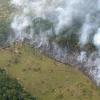 Gift für das Weltklima: Ein Streifen des Regenwalds des Amazonas nahe Manaos in Brasilien wird durch Brandlegung gerodet.