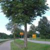 Entlang der Kreisstraße AIC 8 werden am Mittwoch in Alsmoos auf Höhe des Rathauses der Gemeinde Petersdorf sieben Bäume gefällt. 