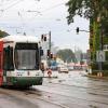 Nach dem Unwetter wird der entwurzelte Baum am Curt-Frenzel-Stadion entfernt. 