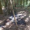 Auf dieser Fläche im "Kranichholz" zwischen Wemding und Fessenheim ist am Montag ein Brand ausgebrochen.