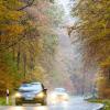 Im Herbst können nasses Laub und Ernteschmutz für rutschige Straßen sorgen - also besser Tempo reduzieren und mehr Abstand halten.