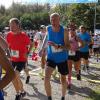 Bei bestem Wetter starteten am Sonntag viele kleine und große Läufer beim Meringer Marktlauf des TVM.