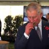 Ein 74-jähriger Neuseeländer hat nach seiner Festnahme während eines Besuches des britischen Thronfolgers Prinz Charles ausgesagt, er habe diesen mit Mist bewerfen wollen.