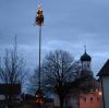 Mit 29 Metern Höhe überragt der Baum auch den nahen Kirchturm von St. Stephan um einen Meter.