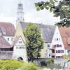 Mit Blick auf die Stadtsilhouette mit dem Rad rein in die Lauinger Altstadt: Den Donauradwanderweg entsprechend zu erweitern, ist eine der Ideen, die Thomas Schauerte gemeinsam mit engagierten Lauingern erarbeitete. 