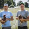 Bei Andreas und Bernhard Epple genießen die „Weidehühner“ ein bisschen den Status von Haustieren. 