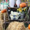 Über 50 Aussteller präsentieren sich beim Herbstmarkt des Wittelsbacher Landes in Friedberg. (Archivbild)