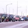 Schon früh machten sich Landwirte aus dem Landkreis auf den Weg nach Nördlingen zum Protest. Der Verkehr staute sich auf der B25 und in der Innenstadt. Über 1000 Traktoren waren auf der Kaiserwiese.