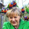 Angela Merkel mit Vögeln im Haar.