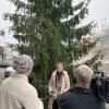 Der Christbaum-Tausch in Pfuhl schlägt weiter Wellen. Am Mittwoch sprach Neu-Ulms Oberbürgermeisterin Katrin Albsteiger mit dem Bayerischen Rundfunk.