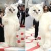 Verkleidet als Katze: Jared Leto sorgte mit seinem Kostüm für Aufsehen bei der MET Gala.