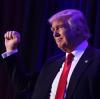 Die politische Sensation des Jahres: Der Unternehmer Donald Trump gewinnt im November die US-Wahlen. 